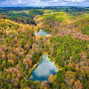 Cinnamon Valley
